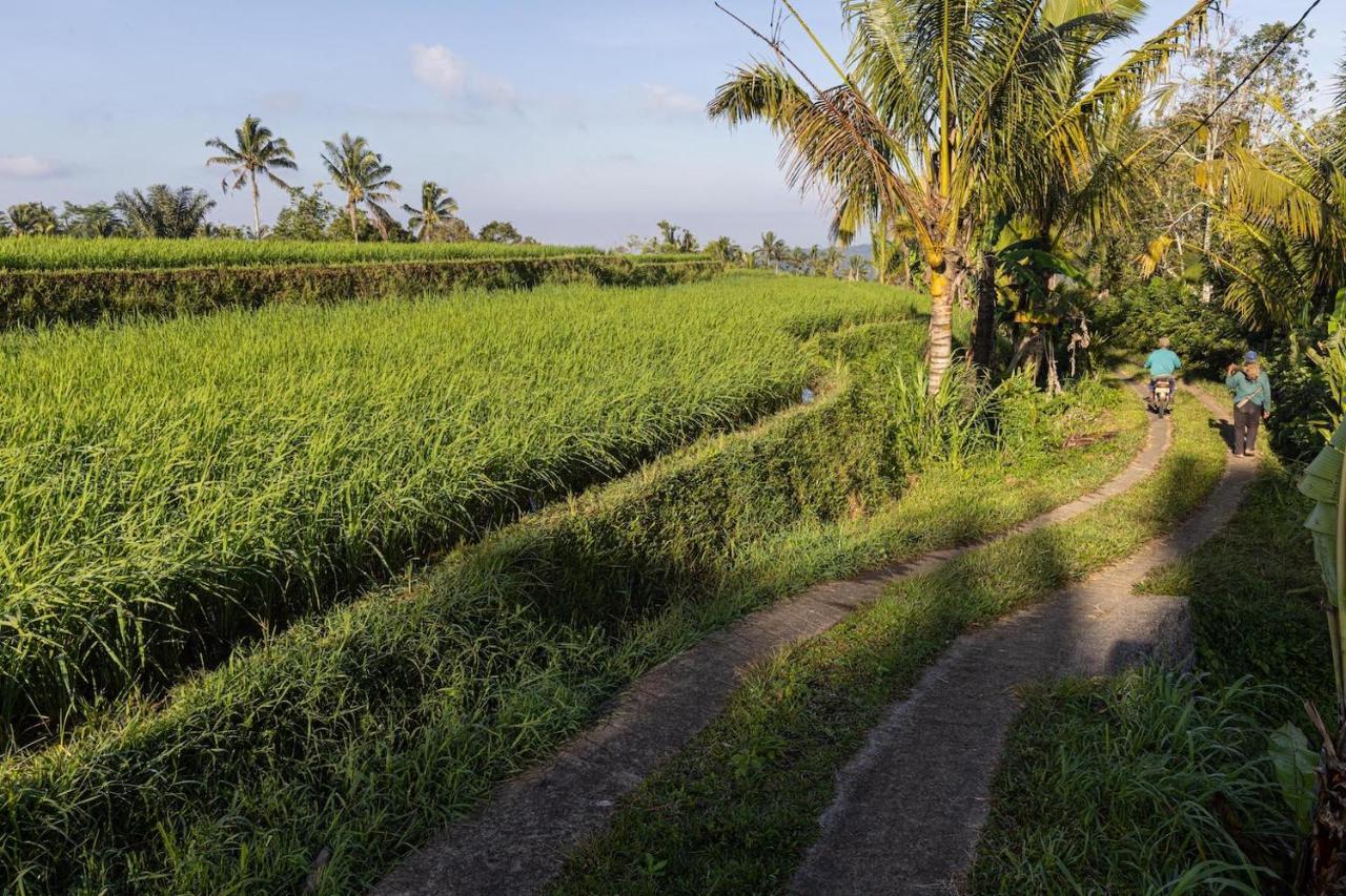 Sanda Plantation Hideaway 外观 照片