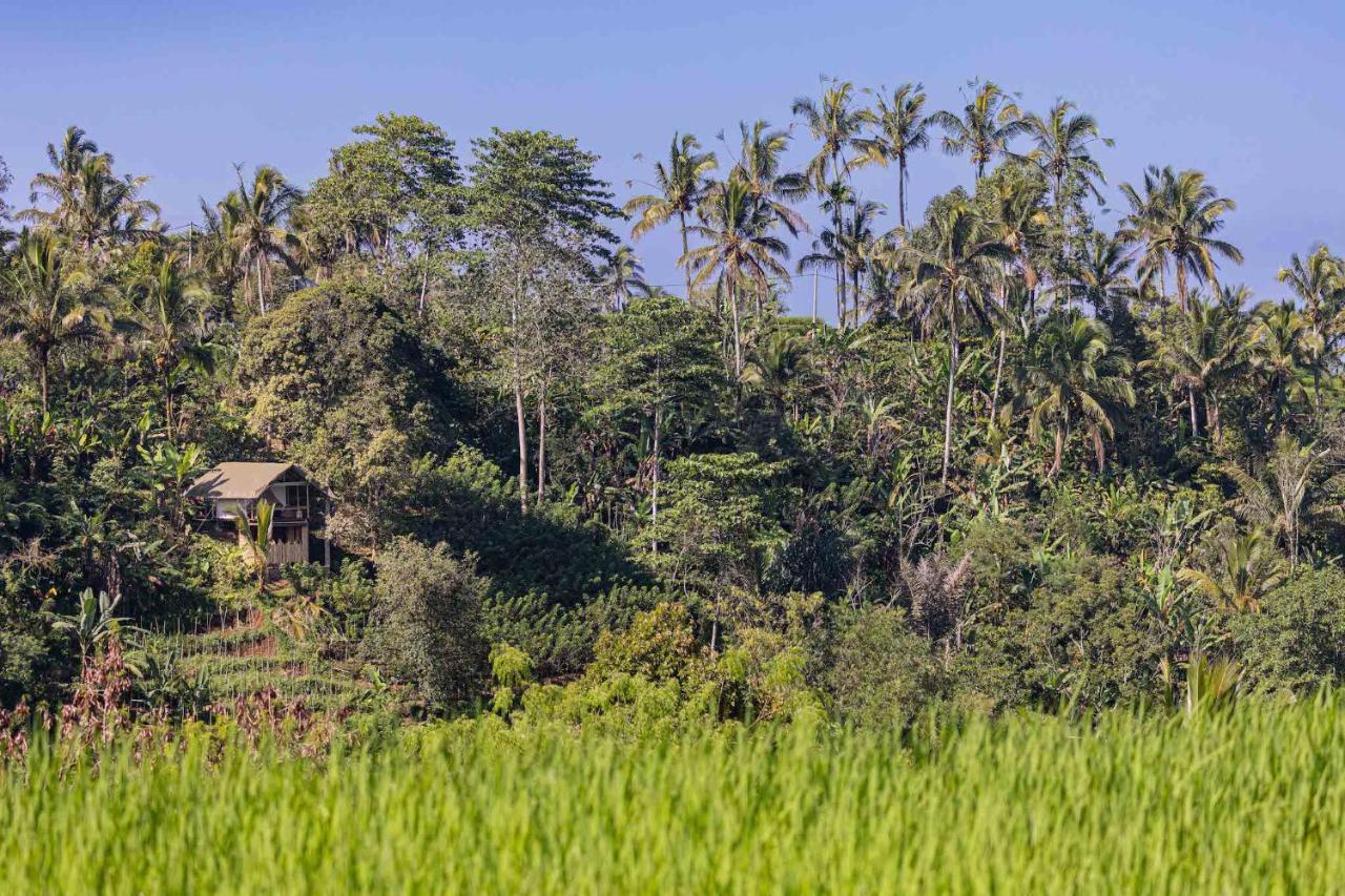 Sanda Plantation Hideaway 外观 照片